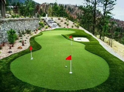 indendørs udendørs putting green