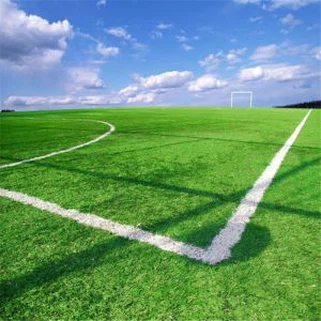 Kunstig Turf Soccer Field