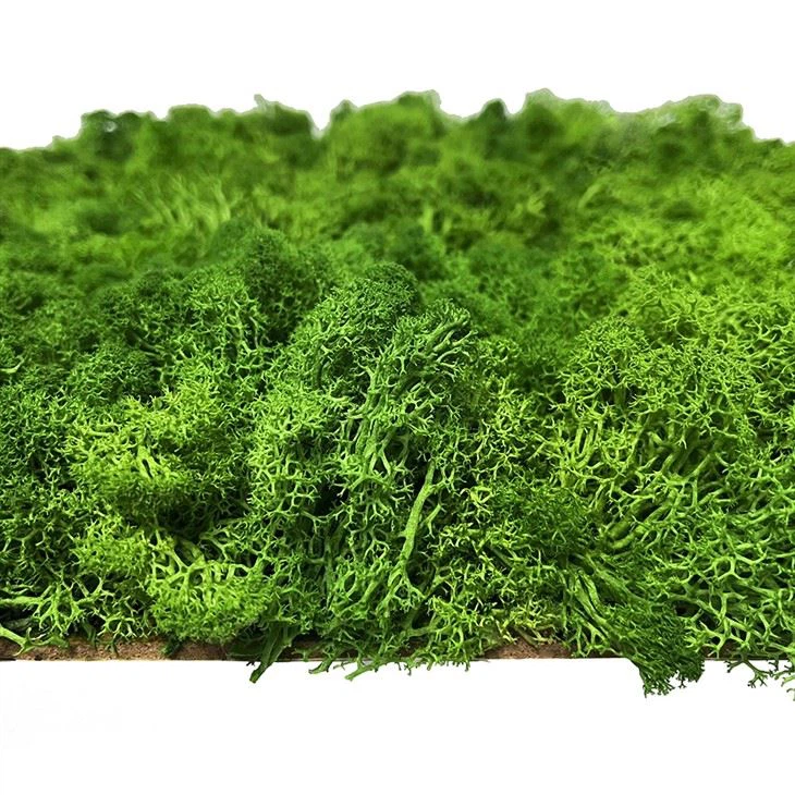 Art Deco Artificial Moss Wall