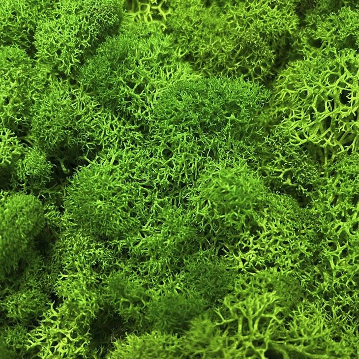 Artificial Moss Wall